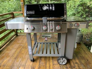 Vacation House for 6 Guests in Ohio, USA, Picture 1