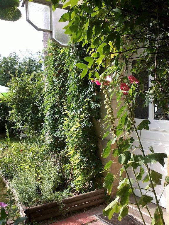 Gîte pour 2 personnes, avec jardin et terrasse à Loches - 3