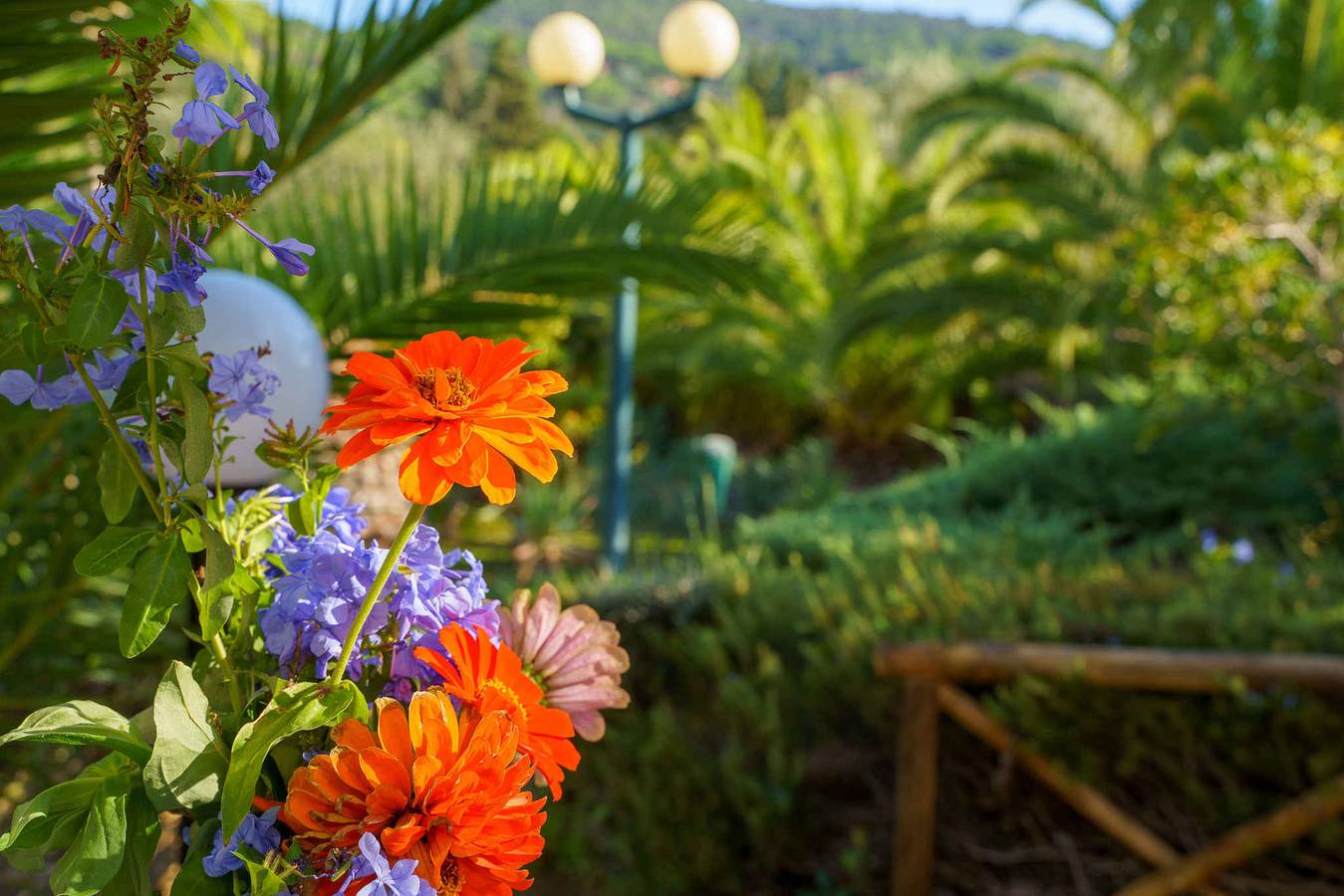 Apartamento vacacional entero, Apartamento tipo estudio con aire acondicionado in Castiglione della Pescaia, Provincia de Grosseto