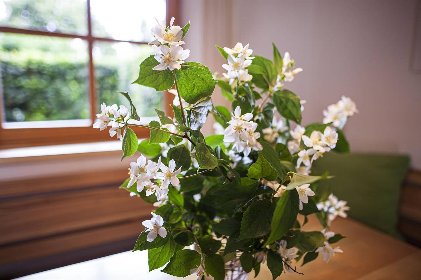 Ganze Ferienwohnung, Bio-Appartement Tauern mit finn. Sauna/Terrasse in Ramsau am Dachstein, Schladming-Dachstein