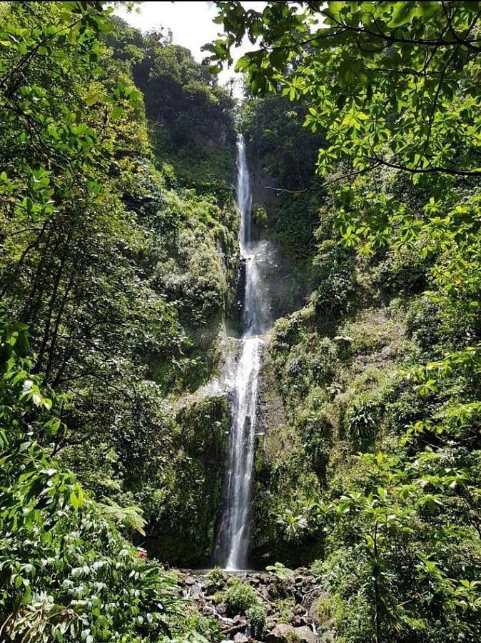 Location de vacances pour 6 personnes, avec jardin et piscine à Goyave (Guadeloupe) - 2