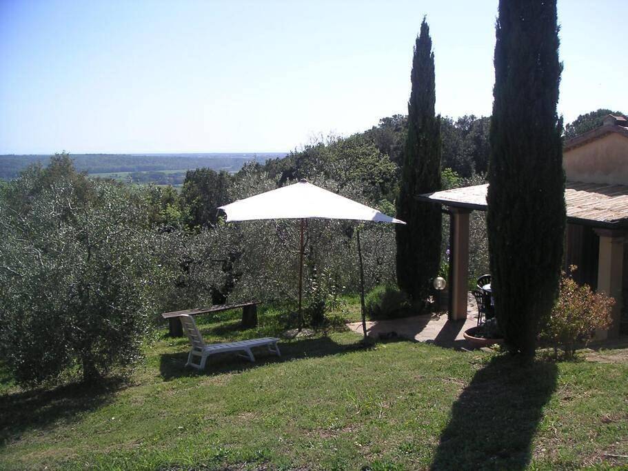 Casa Belvedere -tranquillità tra bosco e ulivi- in Riparbella, Etruskische Küste
