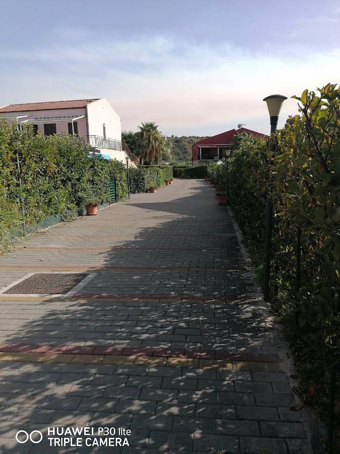 Stella marina in Spiaggia di Campofelice di Roccella (Campofelice di Roccella), Campofelice di Roccella