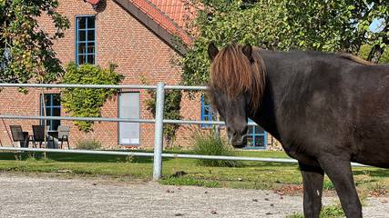 Ferienwohnung für 4 Personen, mit Ausblick in Osterby