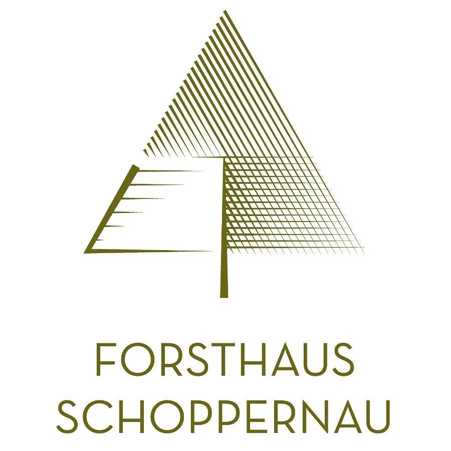 Double Room with Private Bathroom in Diedamskopf, Schoppernau
