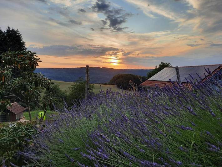 Ferienwohnung für 3 Personen, mit Terrasse und Garten sowie Pool und Ausblick in Rothenberg - 4