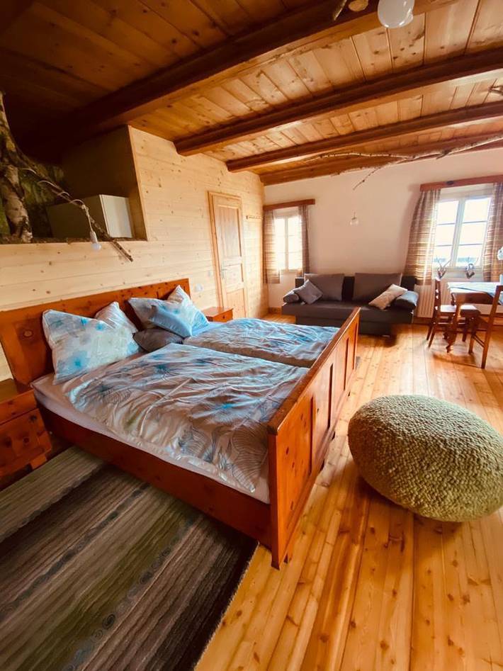 Hütte für 3 Personen, mit Garten und Sauna, mit Haustier am Millstätter See - 4