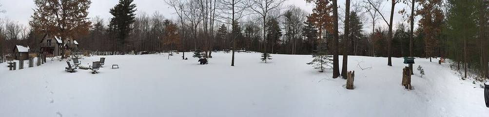 Cottage for 14 Guests in Edenville Township, Lake Huron, Picture 2