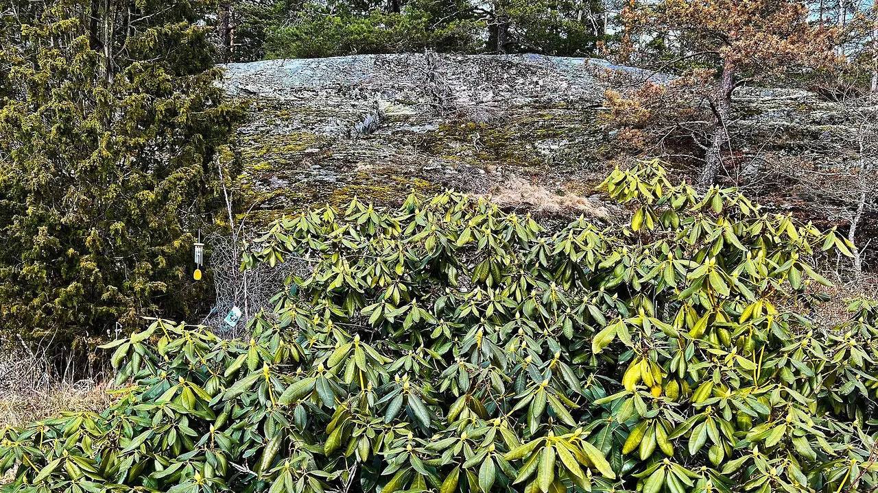 Ferienhaus für 5 Personen (80 m²) in Tyresö in Tyresö, Schwedische Ostsee
