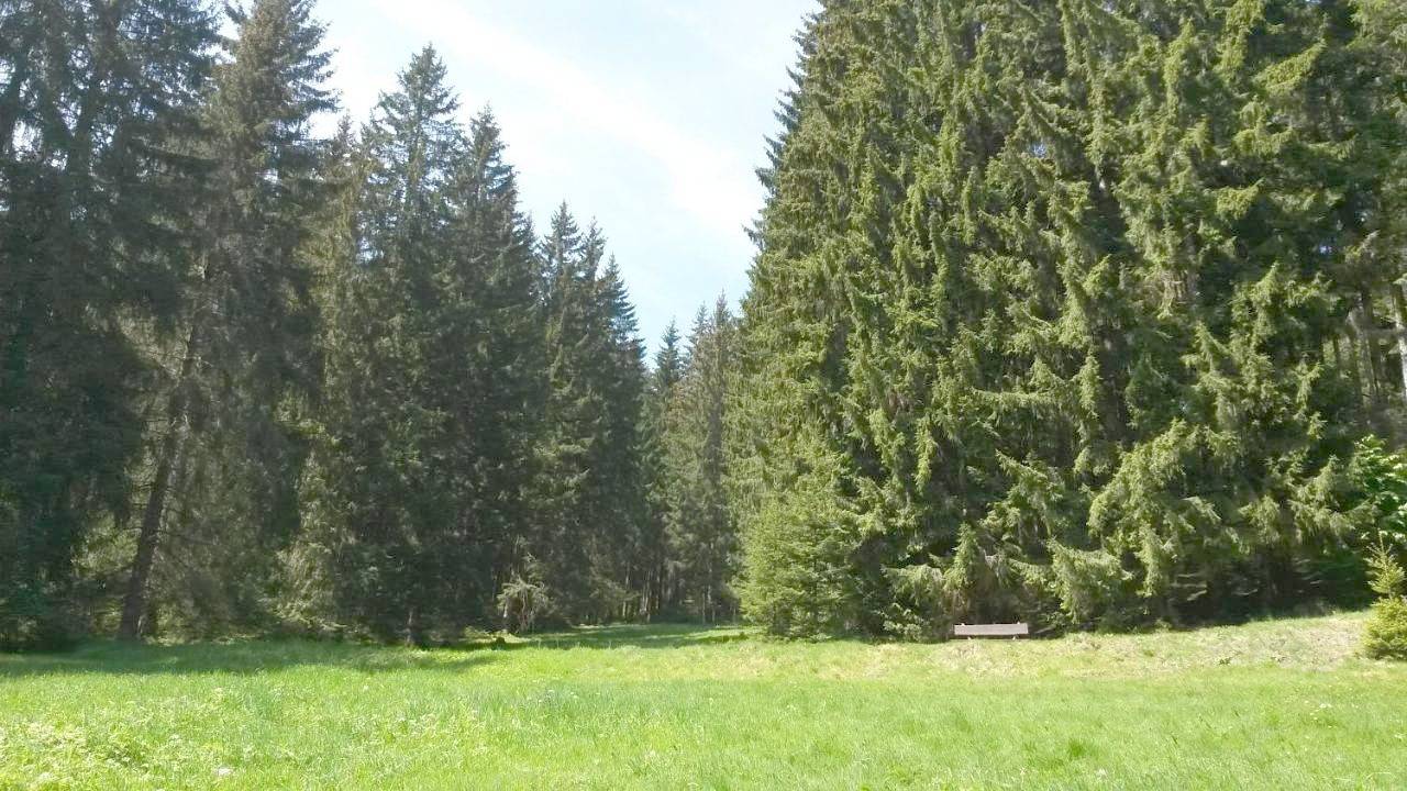 Ferienhaus Bad Hundertpfund Typ C in Großbreitenbach, Rennsteig