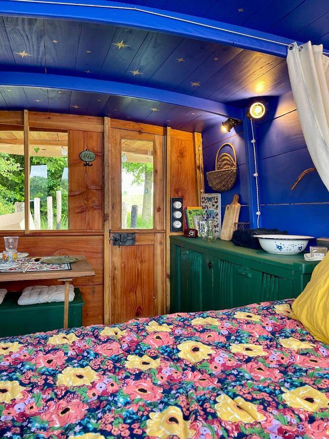 Bateau pour 2 personnes, avec vue et jardin, animaux acceptés dans Lac de Guerlédan - 4