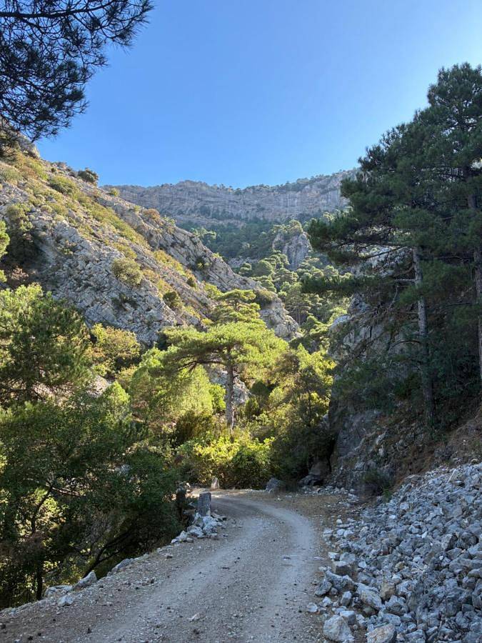 Chalet para 10 personas, con jardín además de jacuzzi y piscina en Provincia de Jaén - 4