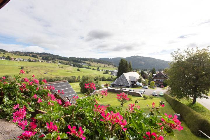 Ganze Wohnung, Ferienwohnung 'Enzian' mit Bergblick, Gemeinschaftsgarten und Wlan in Bernau im Schwarzwald, Südschwarzwald