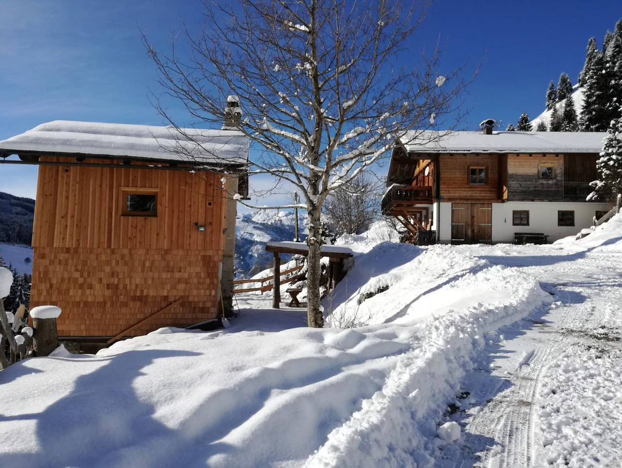 Almhütte Nähe Skigebiet  Achthütte by Fewo-Plancom in Großarl, Ski Amadé