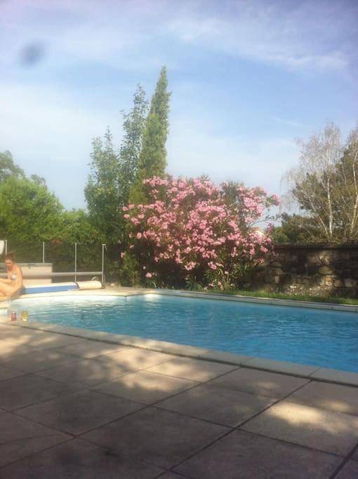 Location de vacances pour 2 personnes, avec jacuzzi et jardin ainsi que terrasse et piscine à Chomérac - 3