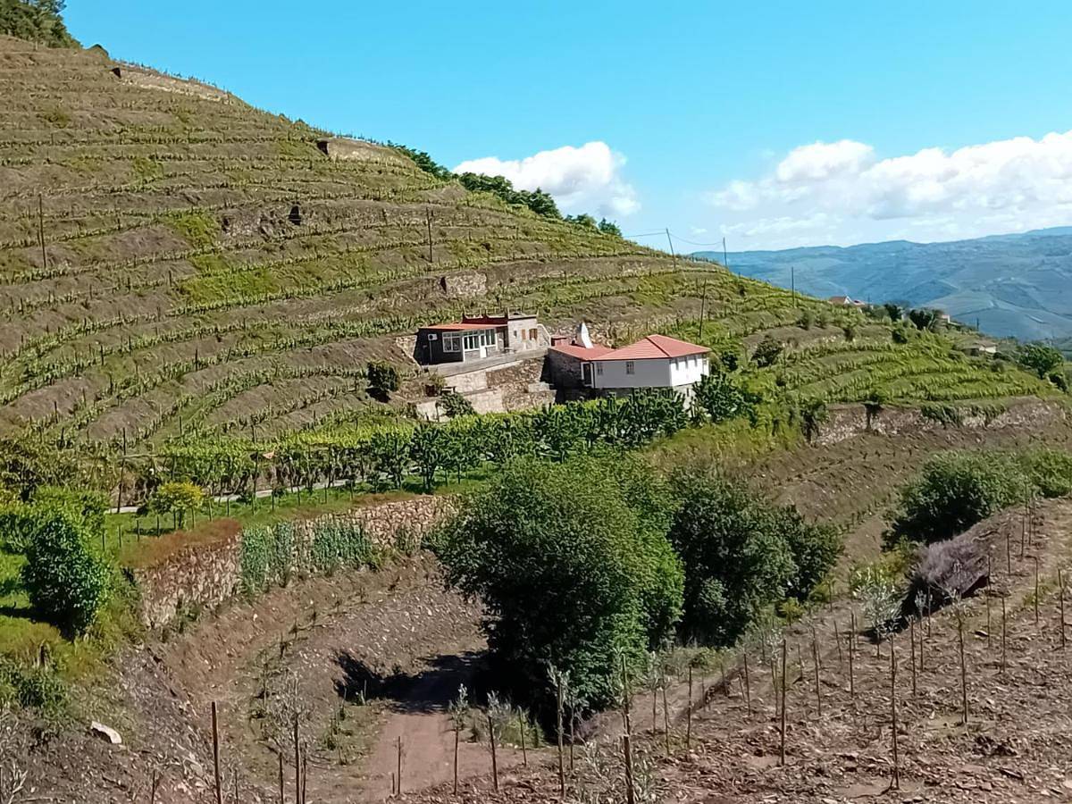 Casa da Quinta do Porto in Lamego, Vale do Douro