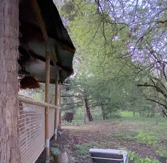 Gîte pour 8 personnes, avec vue et jardin, adapté aux familles dans Treigny-Perreuse-Sainte-Colombe - 4