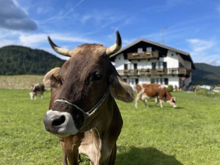 Ferienwohnung für 2 Personen, mit Balkon und Ausblick am Walchensee - 2