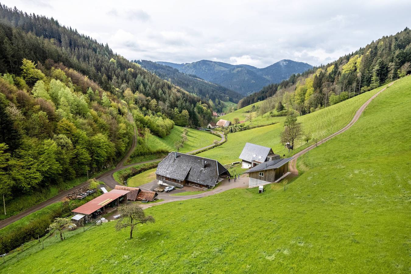 Ganze Wohnung, Ferienwohnung Metzgerbauernhof" mit gemeinsamer Terrasse, Gemeinschaftsgarten und Wlan in Wolfach, Kinzigtal