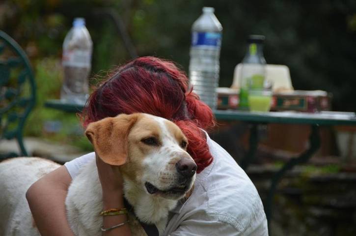 Location de vacances pour 6 personnes, avec piscine et vue ainsi que jardin et terrasse, animaux acceptés à Saint-Pierre-de-Trivisy - 2