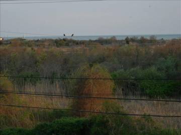 Vacation House for 10 Guests in West Cape May, Cape May County, Picture 2