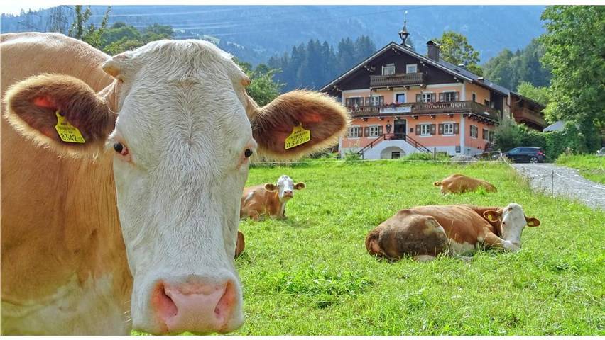 Ferienanlage für 5 Personen, mit Balkon und Terrasse sowie Garten und Ausblick im Salzburger Land
