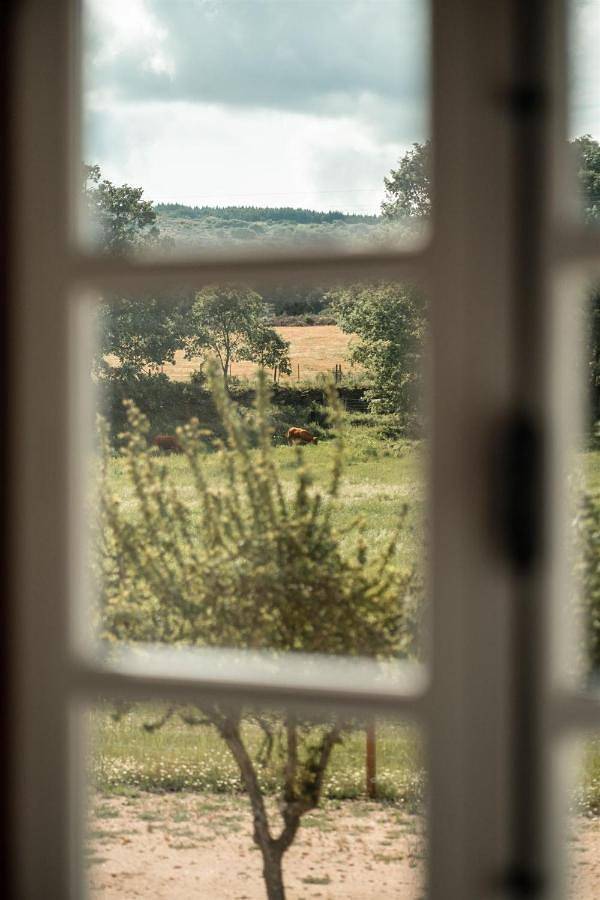 Superior Double Room in Beira Interior Norte, Guarda