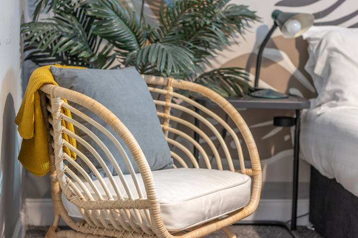 Gîte pour 2 personnes, animaux acceptés à Glasgow - 4