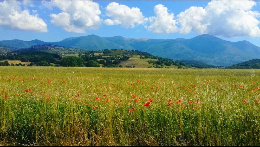 Casa per Ferie Metamorphosi in Fiuggi, Province de Frosinone