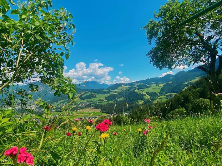 Ganze Ferienwohnung, Wölzenbergalm in Reith im Alpbachtal, Kaisergebirge