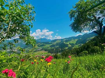Hütte für 5 Personen in Reith im Alpbachtal, Tiroler Unterland, Bild 4