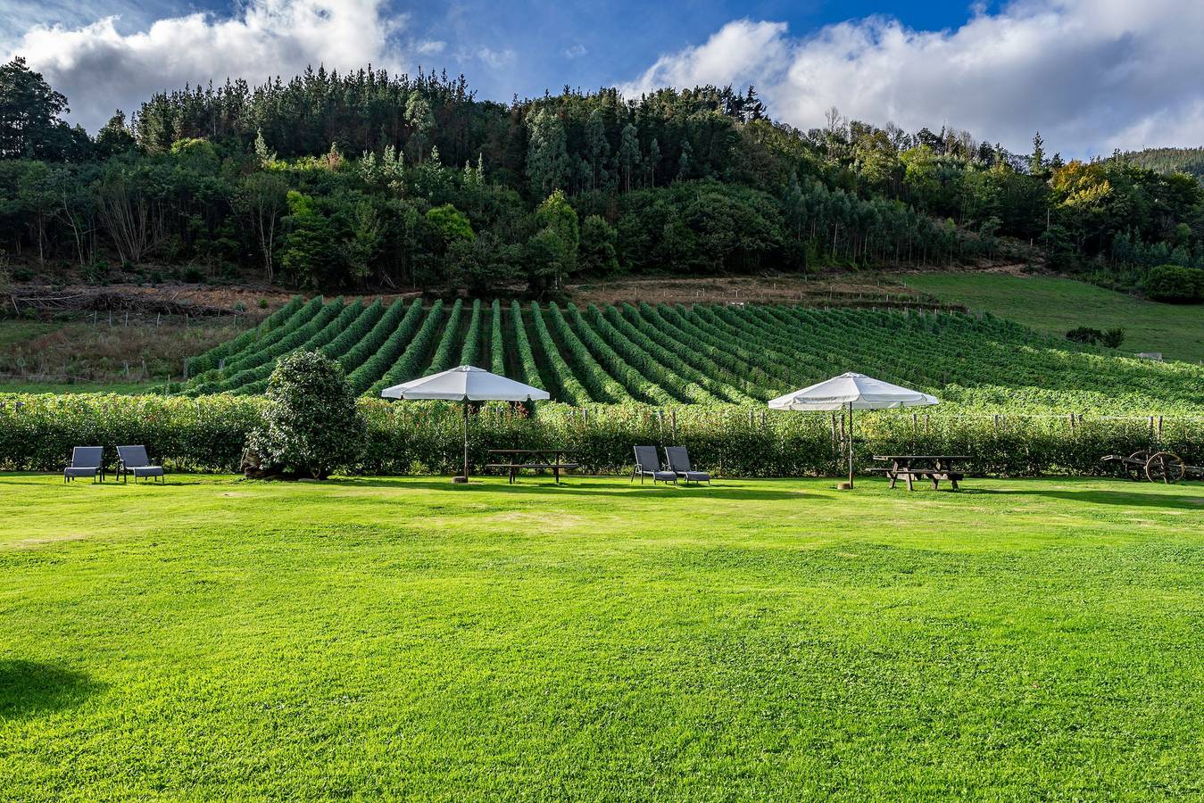 Apartamentos Rurales Ca Lulon: La Veiga El Molin – Bergblick, Garten, Wlan in Tineo, Provincia de Asturias