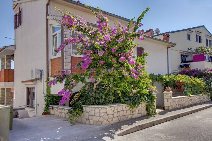Ganze Wohnung, Apartments Suzana in Mali Lošinj, Lošinj (Kvarner Bucht)