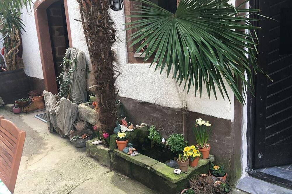 Ganze Wohnung, Fewo 1 - Feriengut Trinkstorch in Leinsweiler, Trifelsland