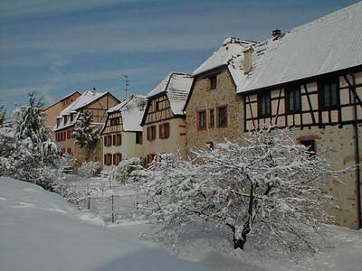 Gîte La Maison Bleue en Centre Alsace à Bergheim in Bergheim, Parc naturel régional des Ballons des Vosges