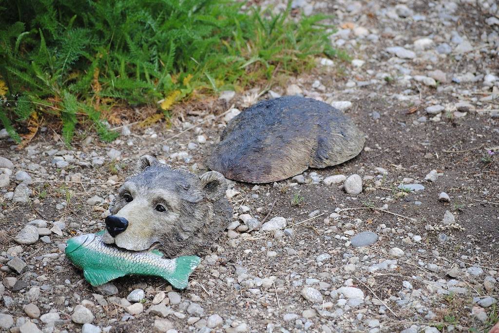 Wilderness Spirit Cabins 'Bear Cave' ist ein kabinenfreundliches Paradies für Sportler in Ravalli County