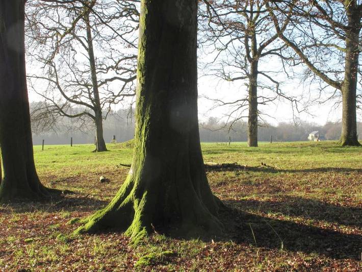 Maison de vacances pour 10 personnes, avec vue et jardin, animaux acceptés à Bouillon