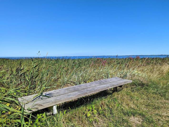 Ferienhaus für 4 Personen, mit Terrasse, mit Haustier in Nissum Fjord - 2
