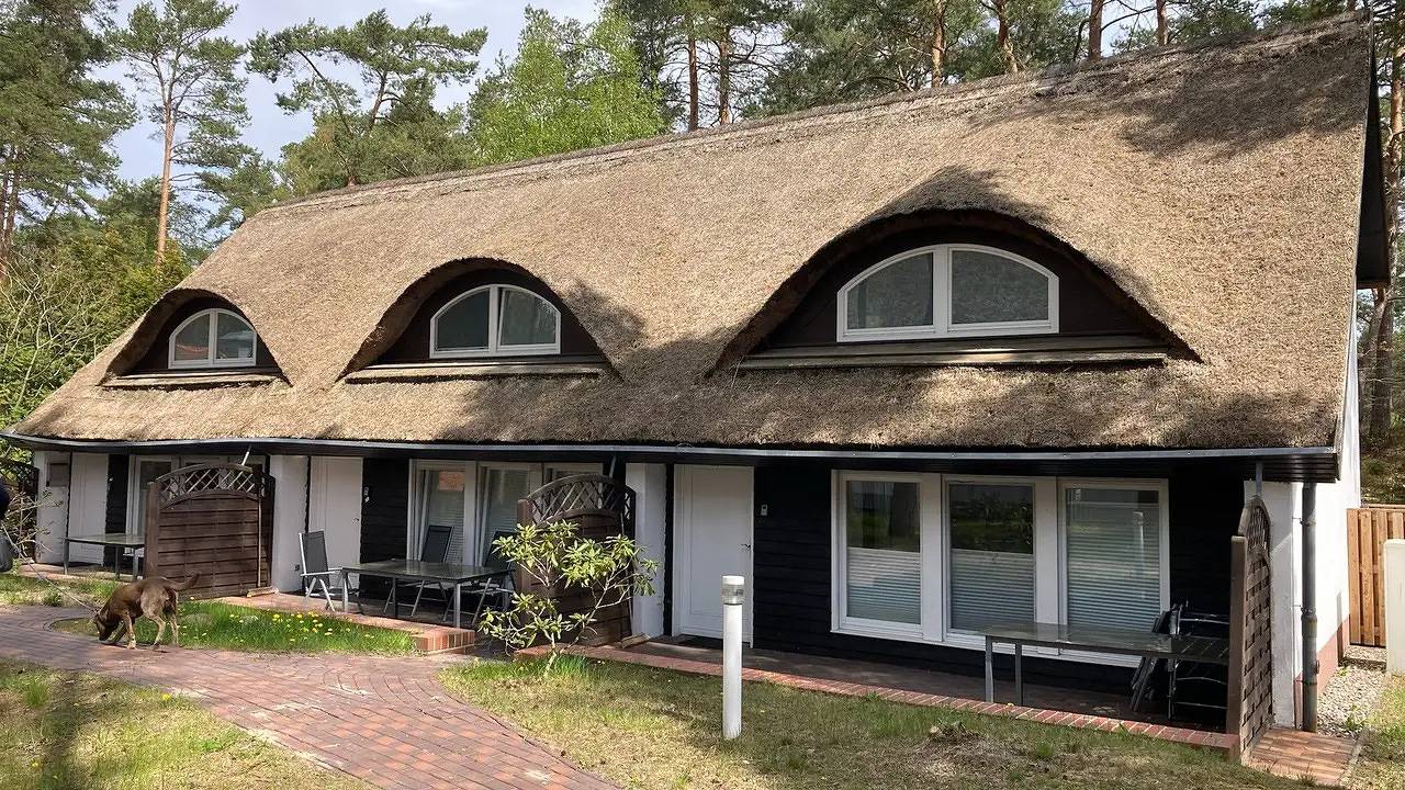 Ferienhaus für 5 Personen (60 m²) in Karlshagen in Ostseebad Karlshagen, Karlshagen