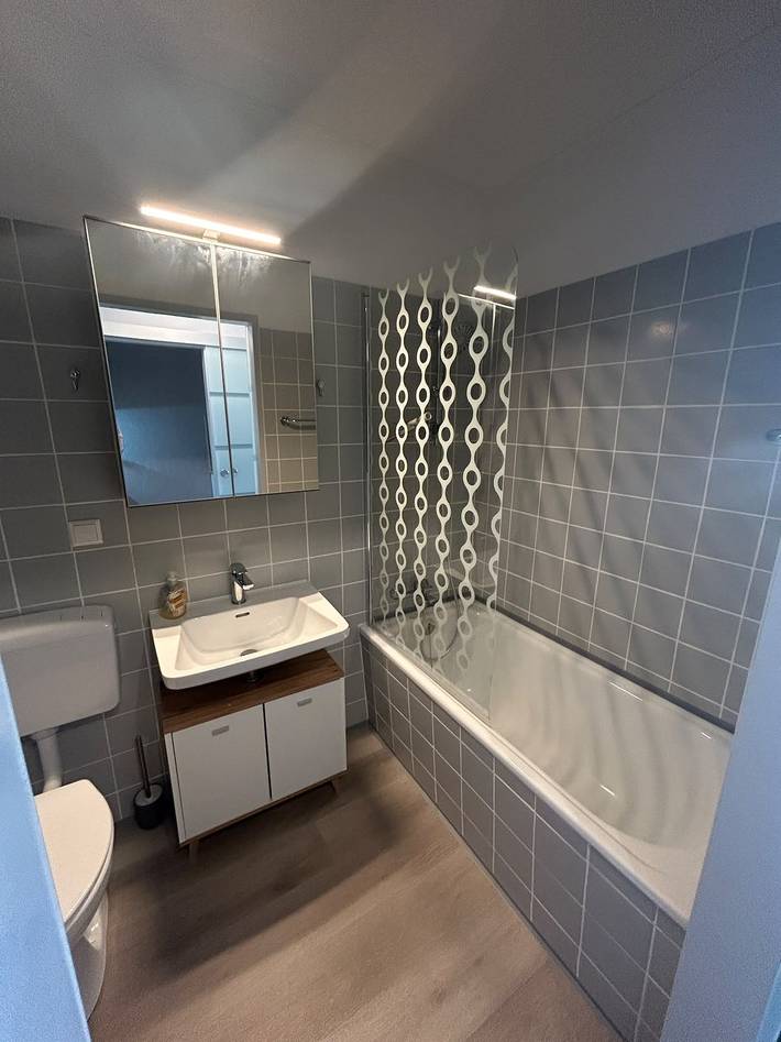 Ganze Wohnung, Baiersbronner Rosenberg – Balkon mit Panoramablick – Mein Schwarzwaldhäusle Gmbh in Klosterreichenbach, Baiersbronn
