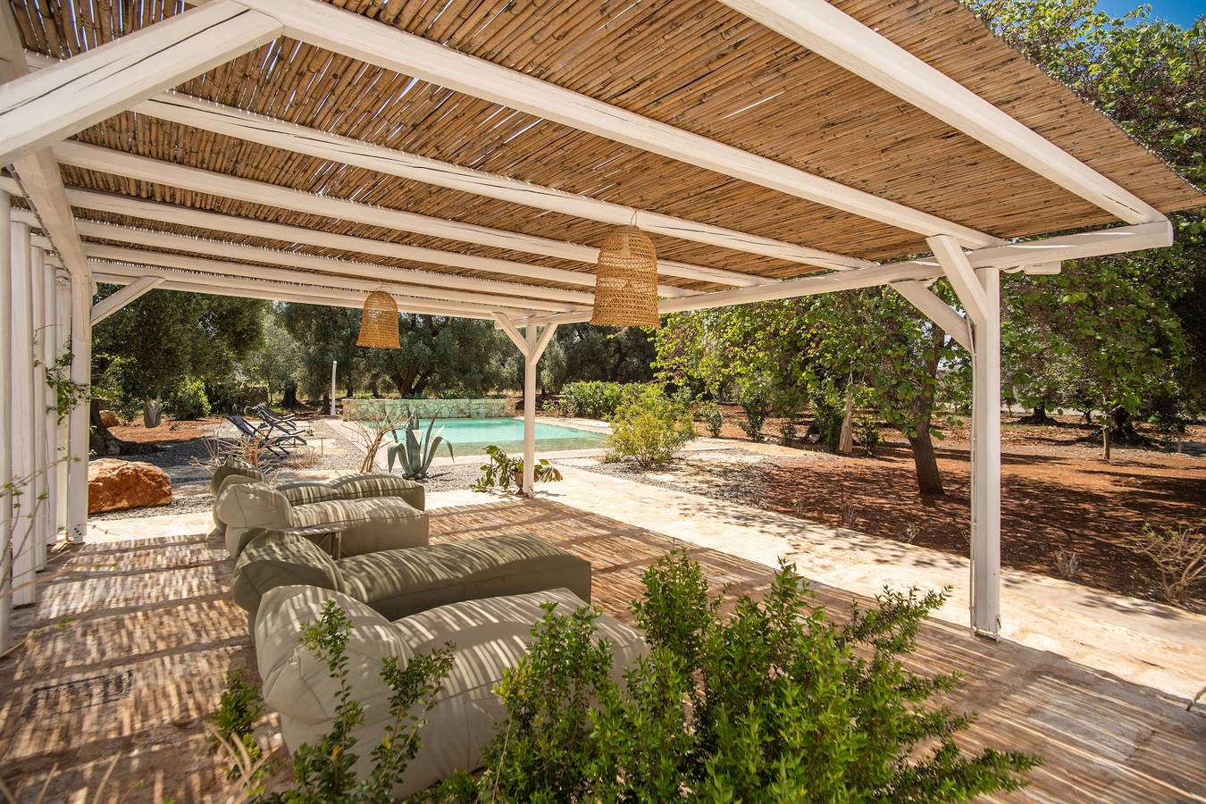 Trulli, cicale e olive in Ceglie Messapica, Salento