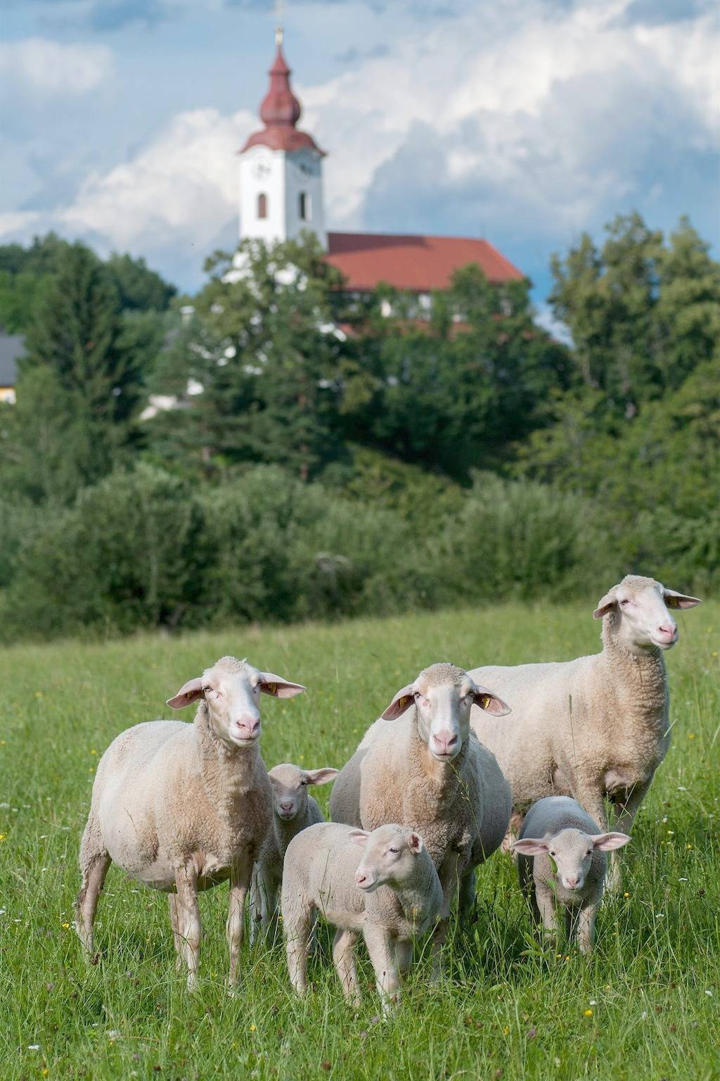Ganze Ferienwohnung, Ferienwohnung Dobratsch in Karawanken und Bachergebirge, Finkenstein am Faaker See