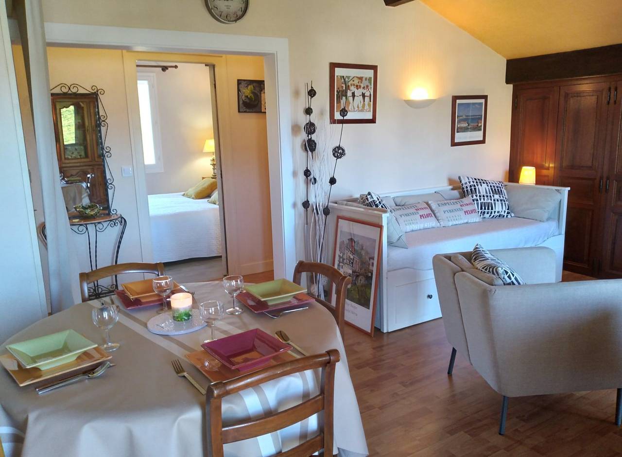 Appartement entier, A 900m.du centre-ville, gîte classé offrant une vue superbe in Saint-Jean-Pied-de-Port, Région de Bayonne