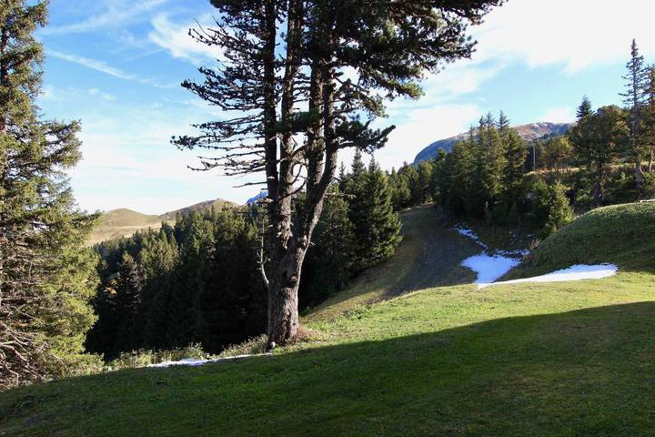 Location de vacances pour 3 personnes, avec balcon à Chamrousse