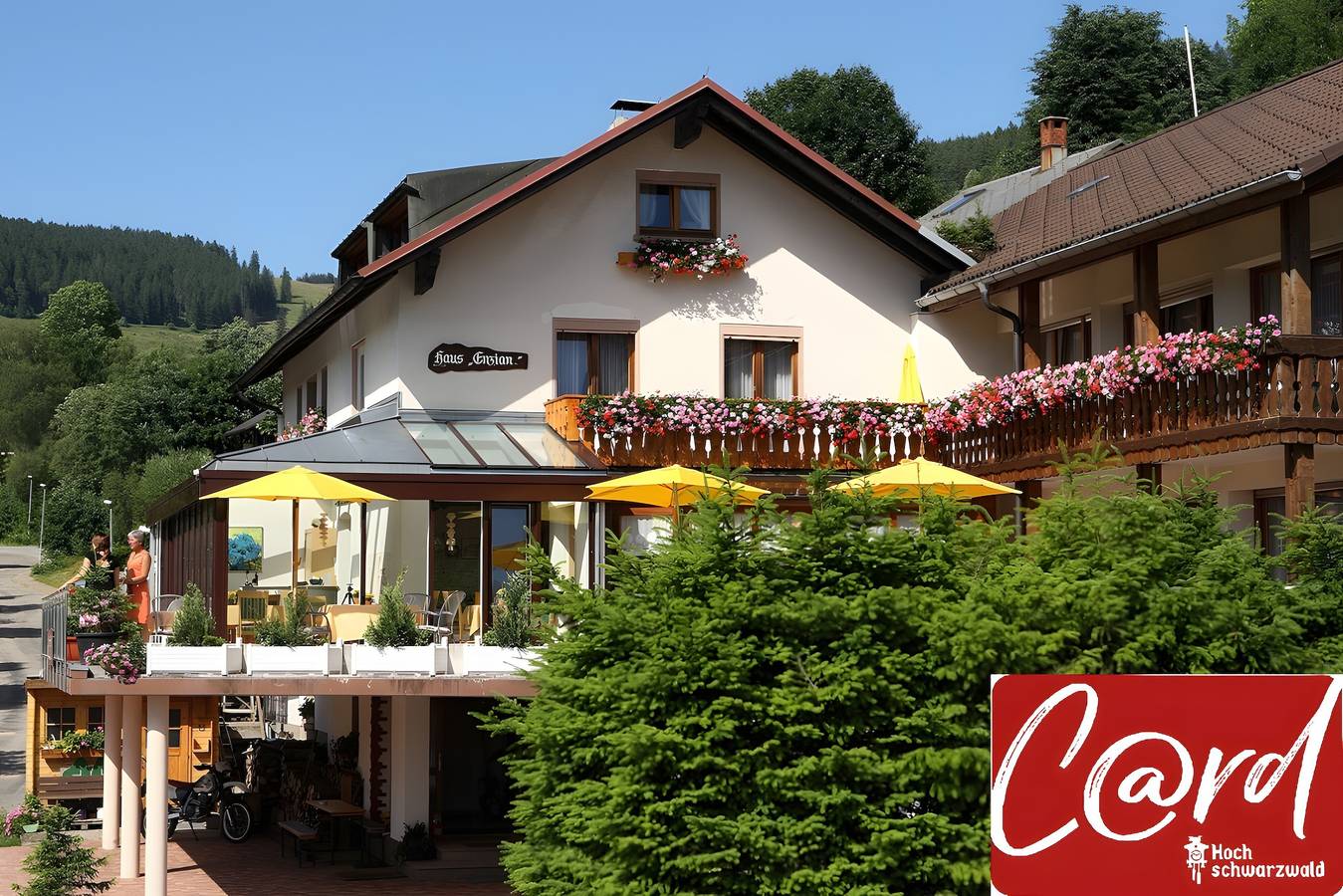 Hotel- Pension Enzian, Doppelzimmer mit Balkon oder Terrasse inklusive Frühstück in Todtnauberg (Todtnau), Todtnau