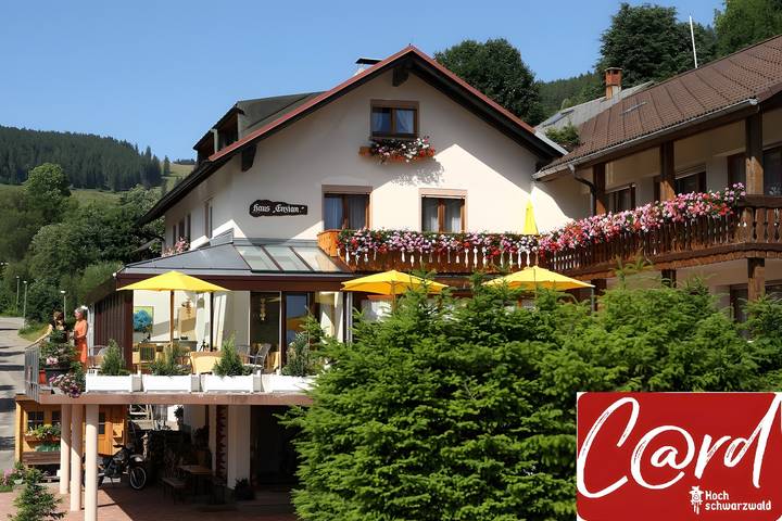 Hotel- Pension Enzian, Doppelzimmer mit Balkon oder Terrasse inklusive Frühstück in Todtnauberg (Todtnau), Todtnau