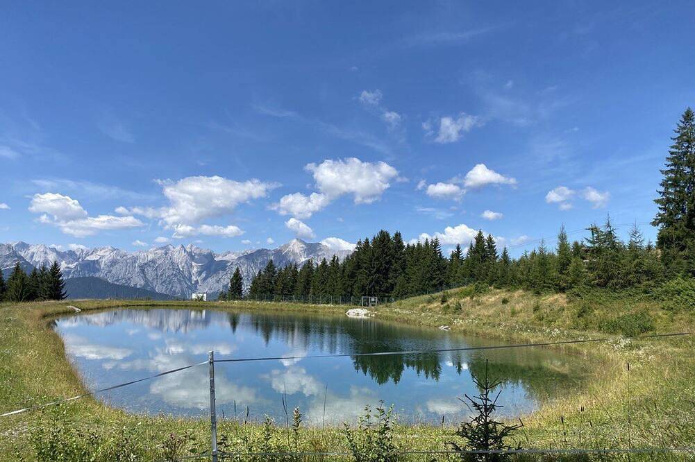 Offriamo un seminario. in Prealpi del Tux, Schwaz