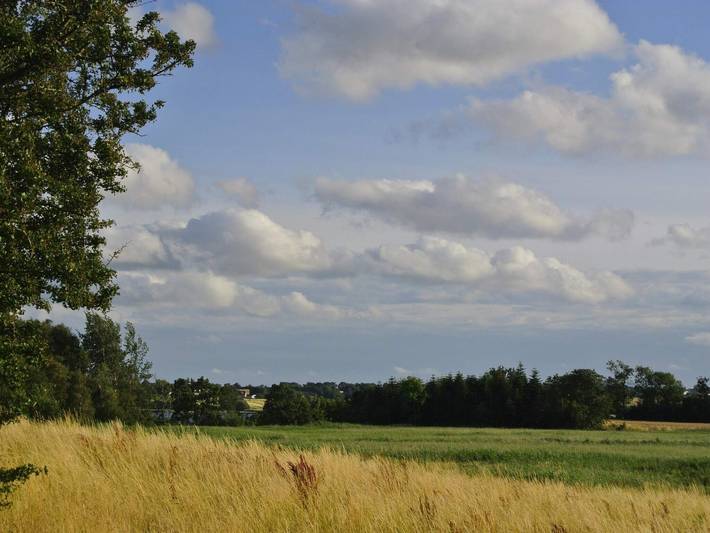 Panoramisches Ferienhaus Ruckzug in Hejlsminde, Kleiner Belt
