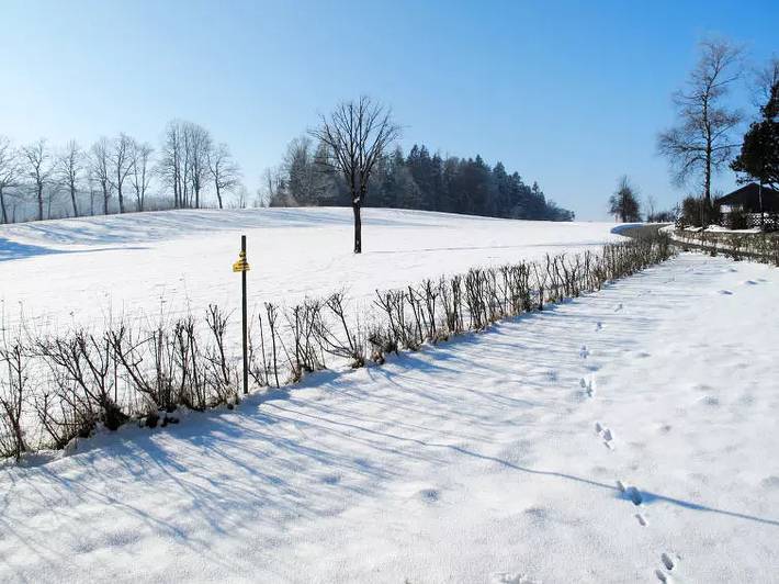 Villa für 10 Personen, mit Garten in Tirol - 3