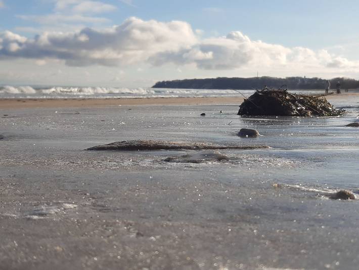 Hotel für 2 Personen, mit Terrasse, mit Haustier in Lobbe - 3